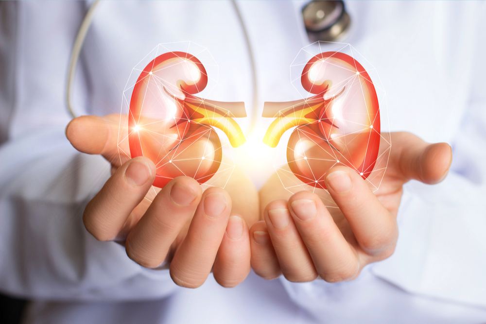 Kidney Specialist In Balaghat