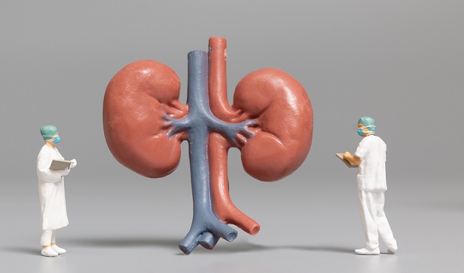 Kidney Specialist In Betul