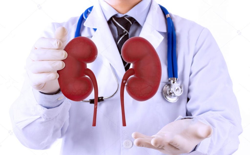 Kidney Specialist In Jabalpur